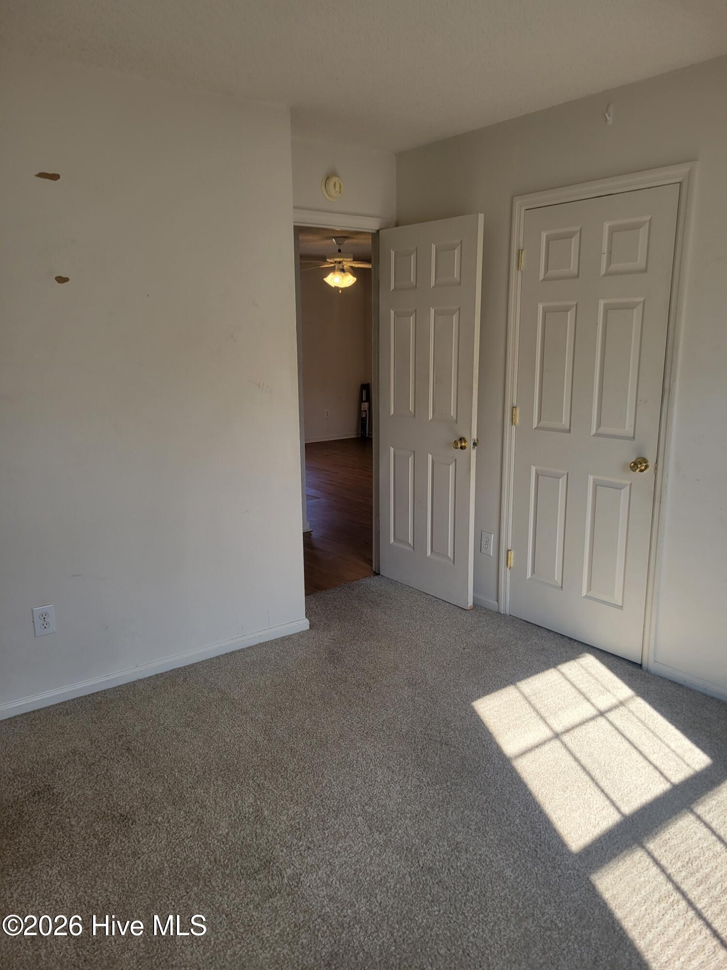 100563127 | Photo 15