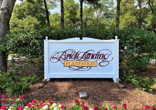 100524429 | Photo 74