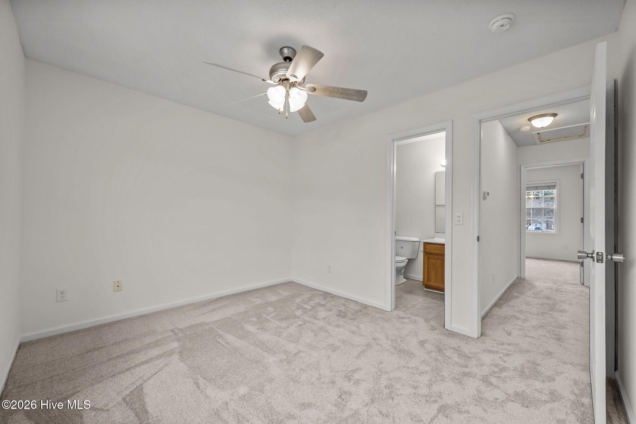 100555534 | Photo 21