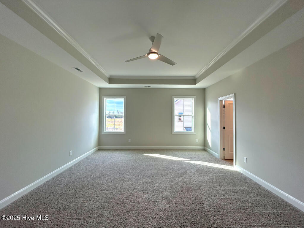 100535078 | Photo 34