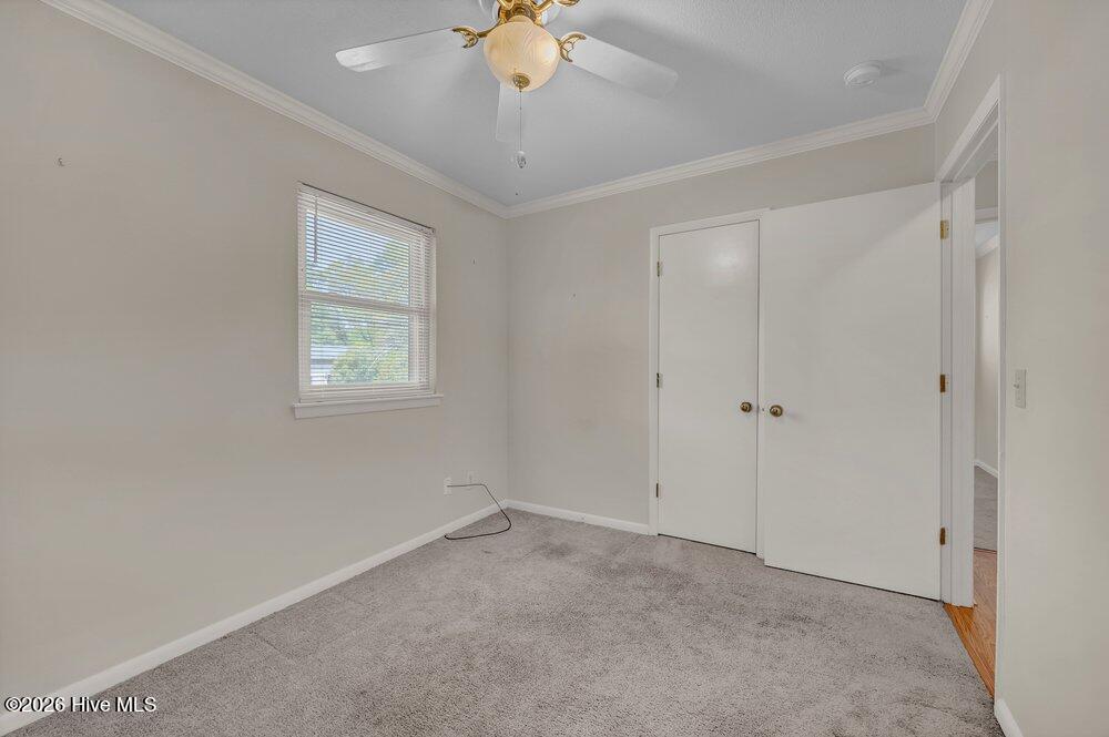 100564044 | Photo 20