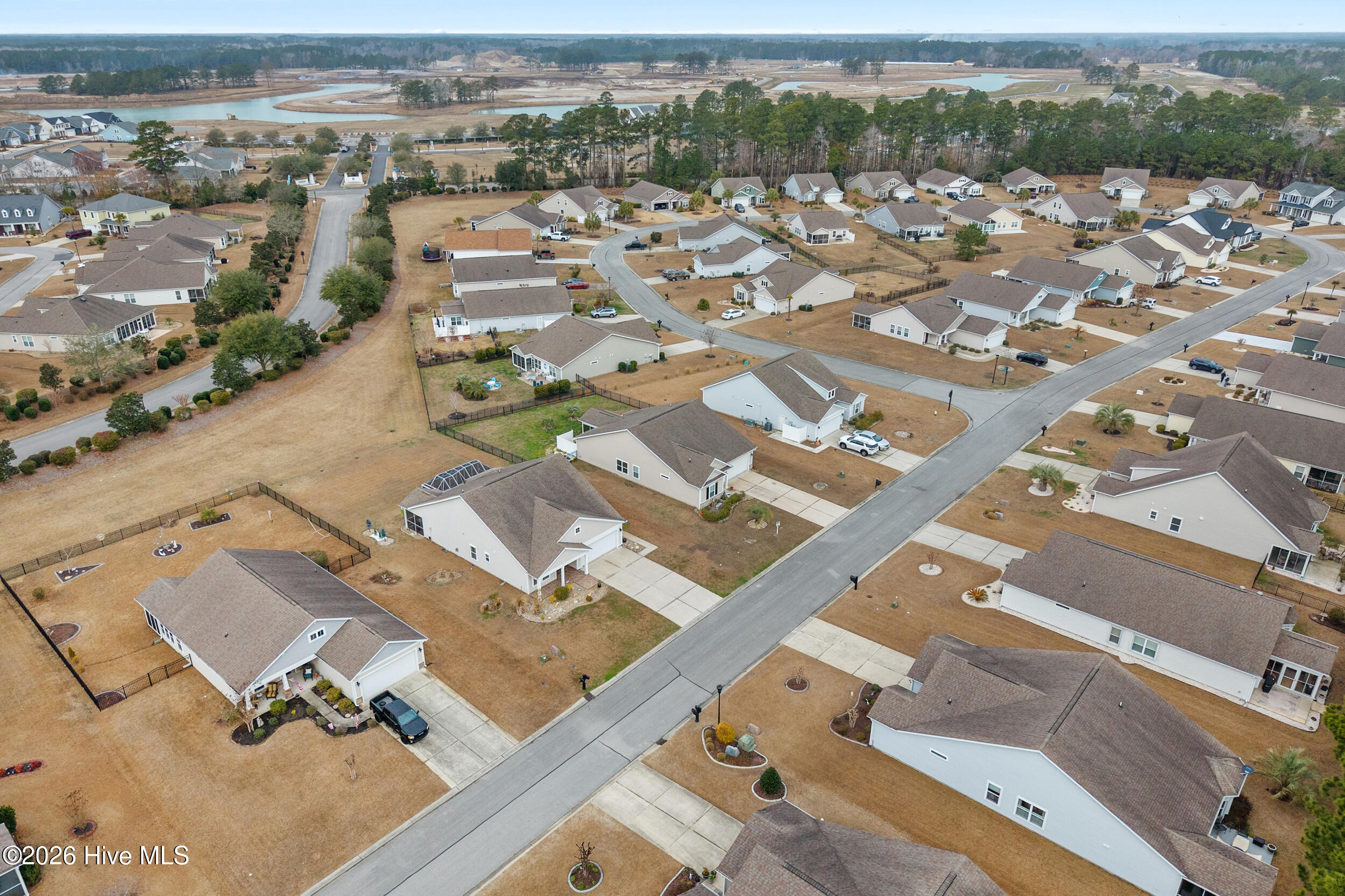 100554987 | Photo 39