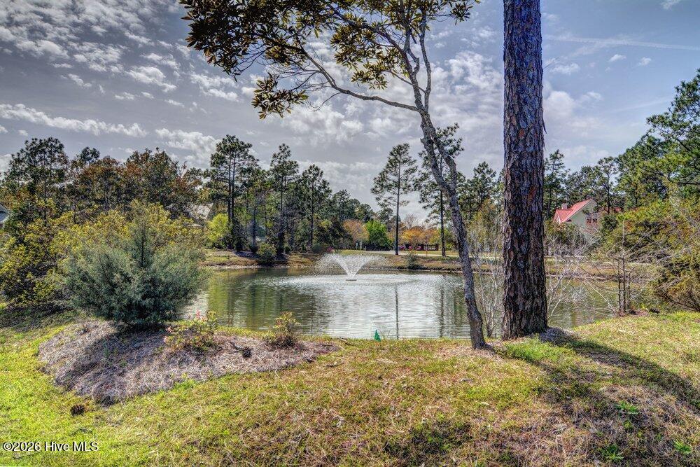 100568961 | Photo 89