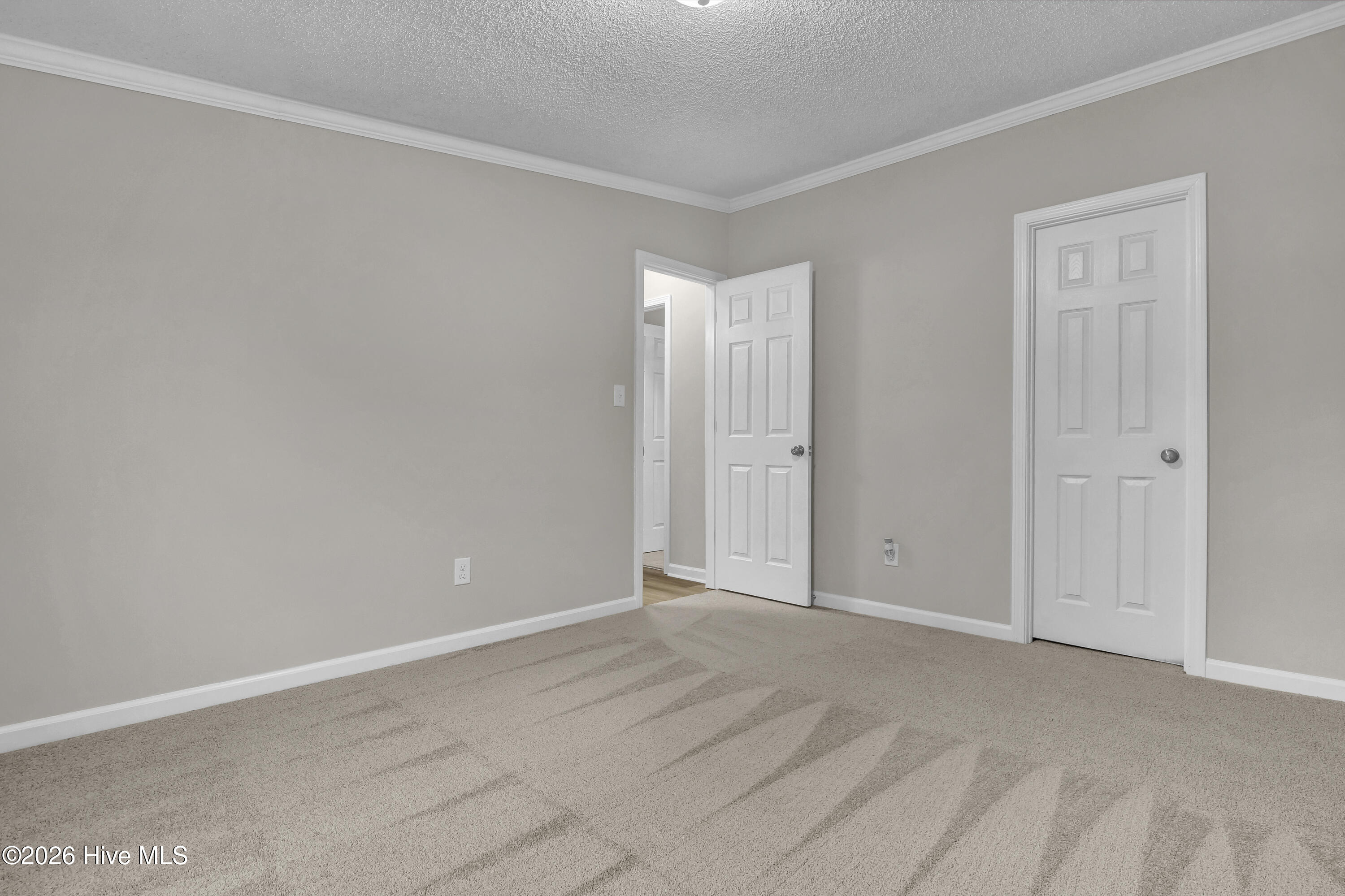 100550889 | Photo 27