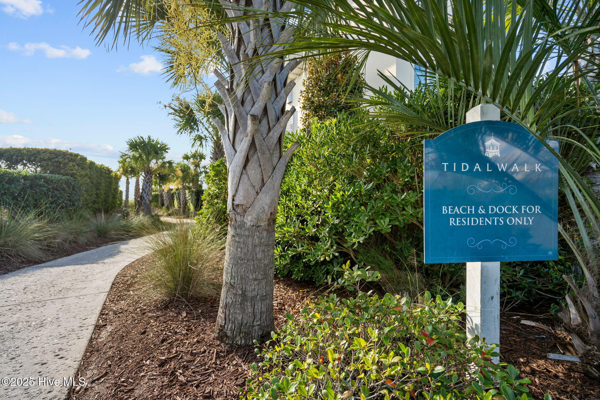 100546200 | Photo 20