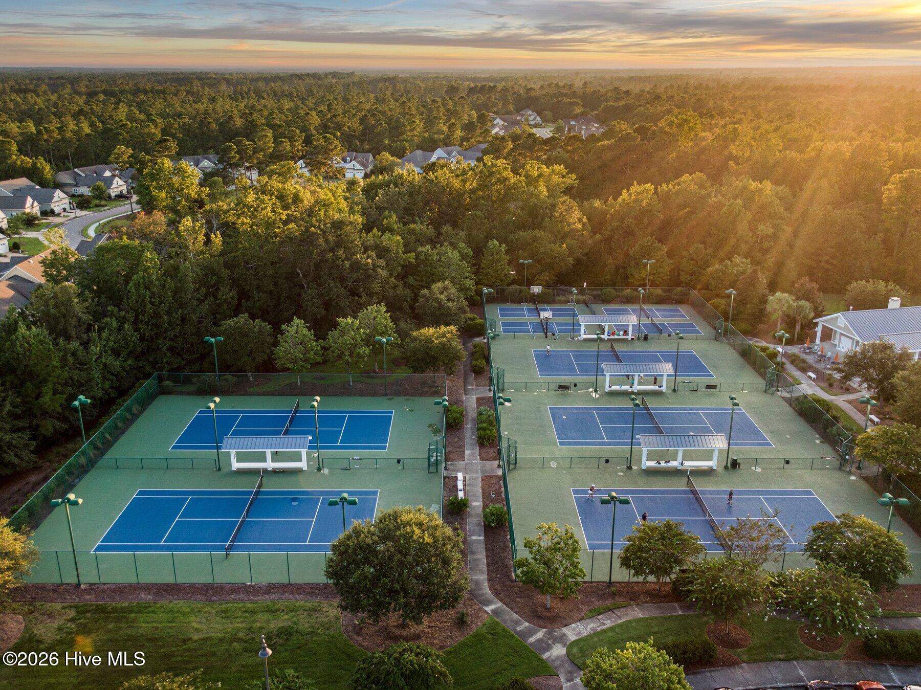 100558018 | Photo 53