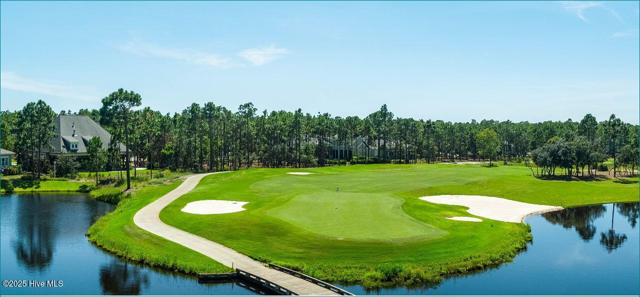 100506420 | Photo 45