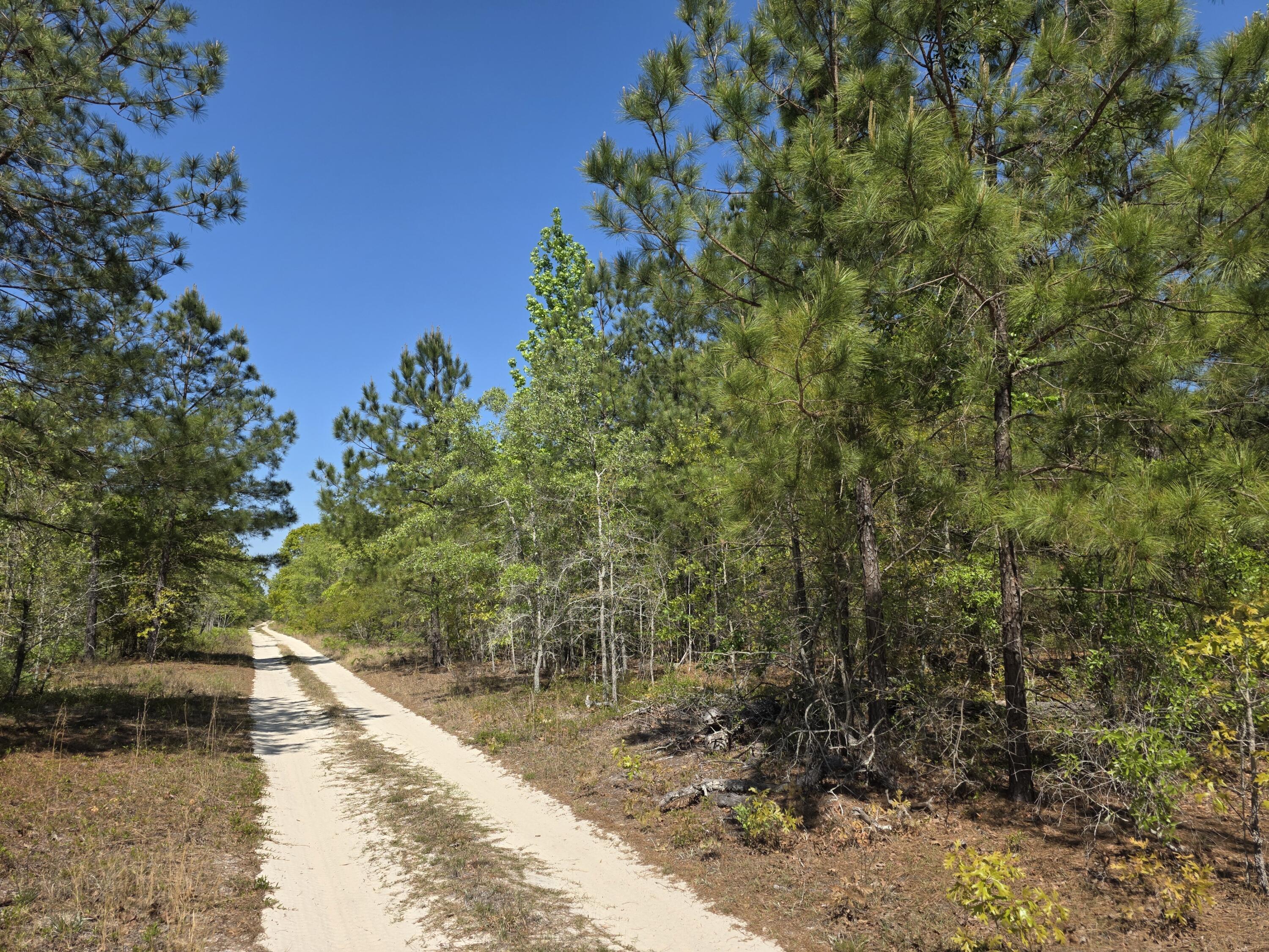 Photo 1 of Land for sale at 8a Briarwood Dr, Williston, SC 29853 | MLS# 100601494 | Listing updated on 2026-09-04
