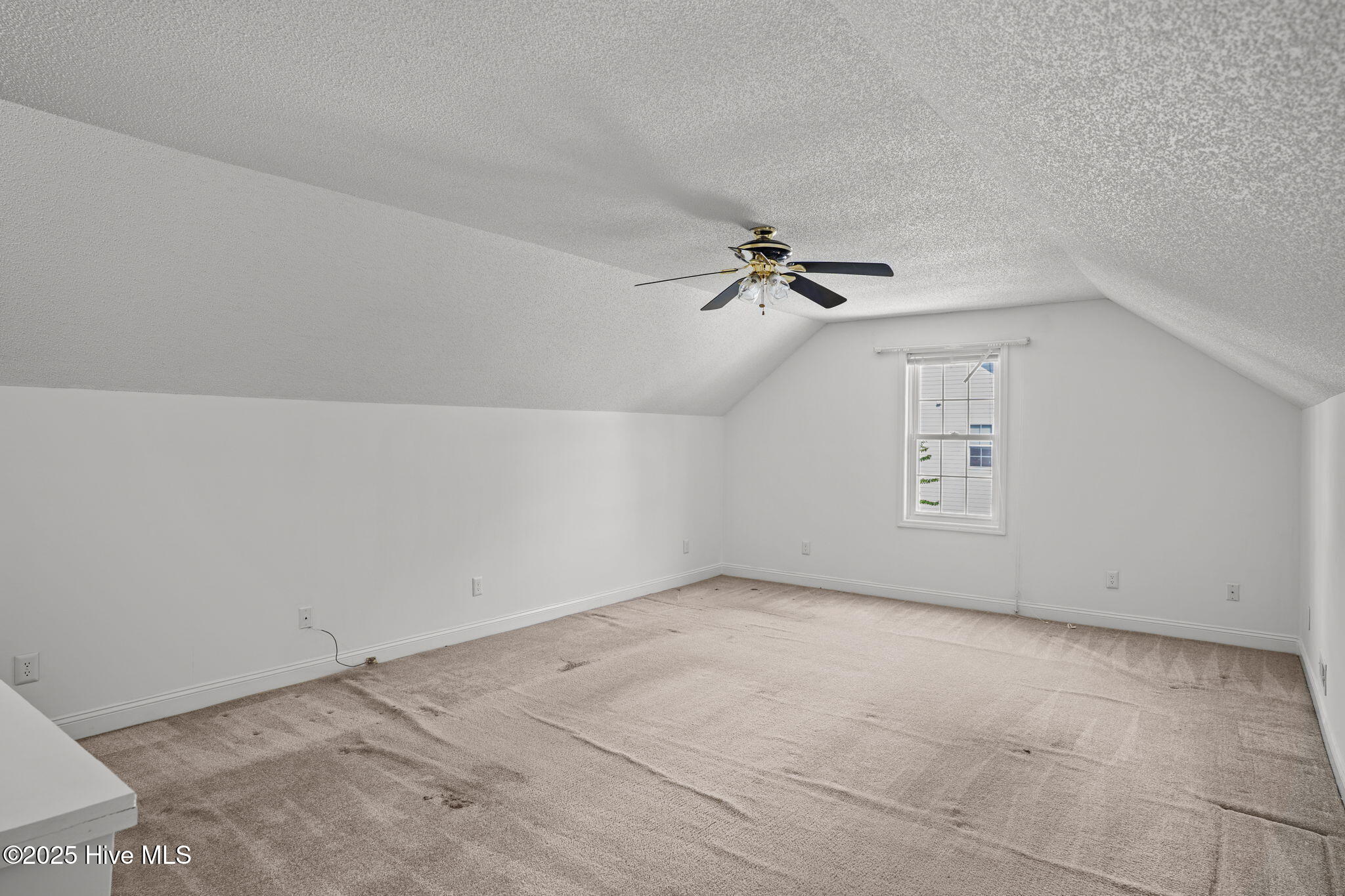 100511511 | Photo 33