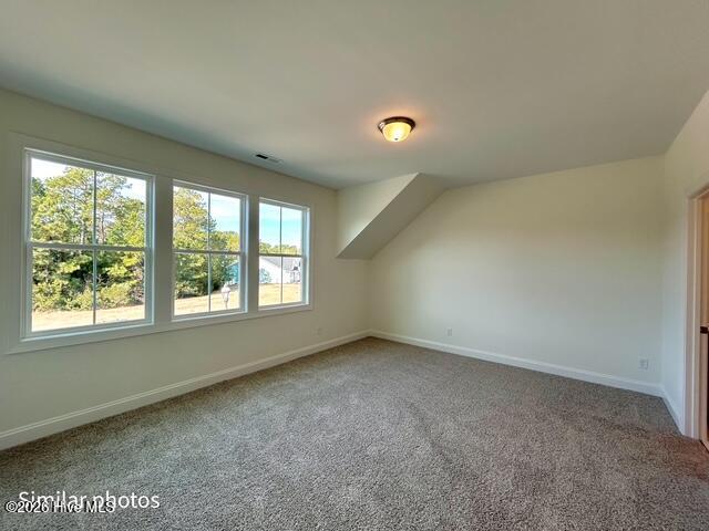 100535457 | Photo 46