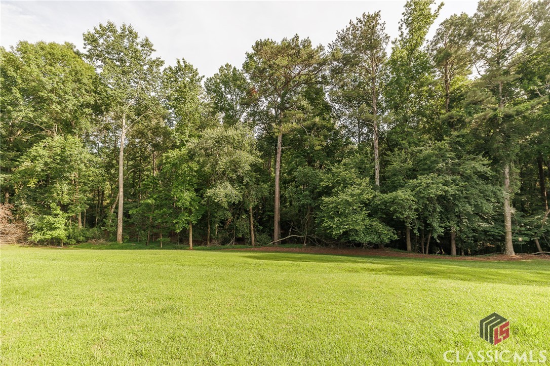 1060 Woodhollow Lane