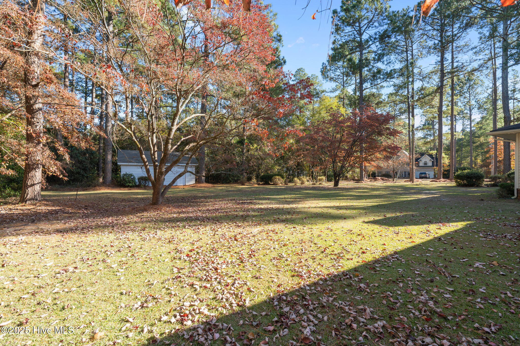 48-web-or-mls-DSC06907