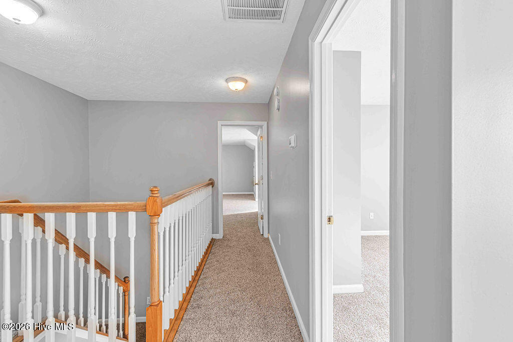 100557733 | Photo 26