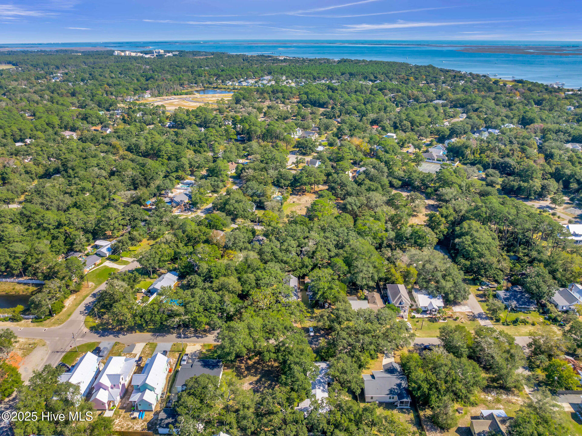 100538274 | Photo 46