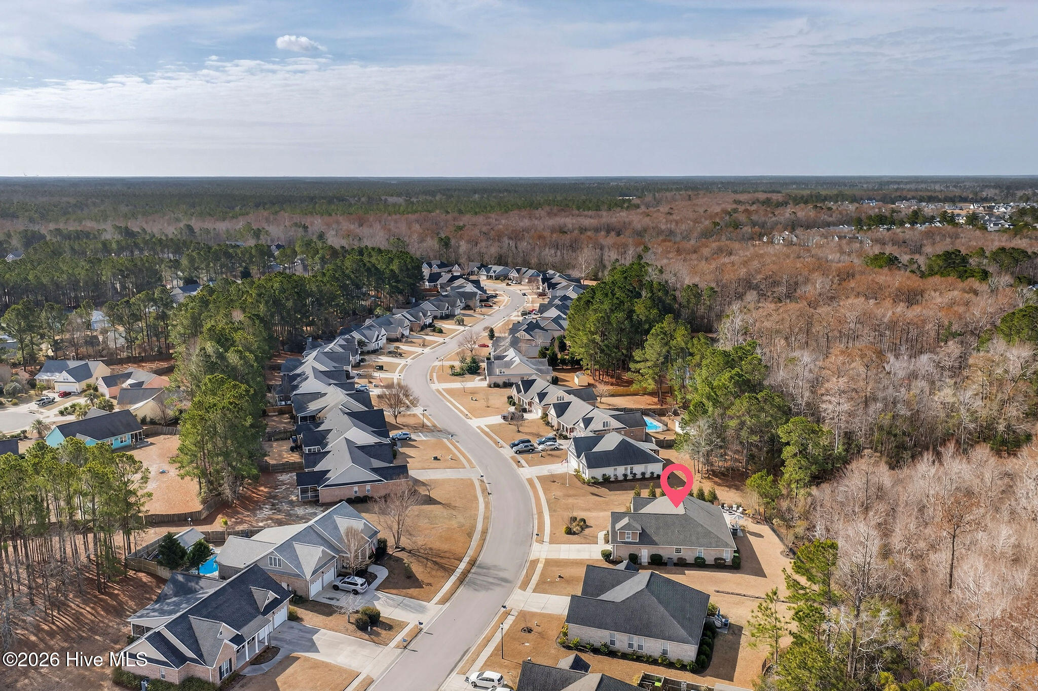 100558265 | Photo 60