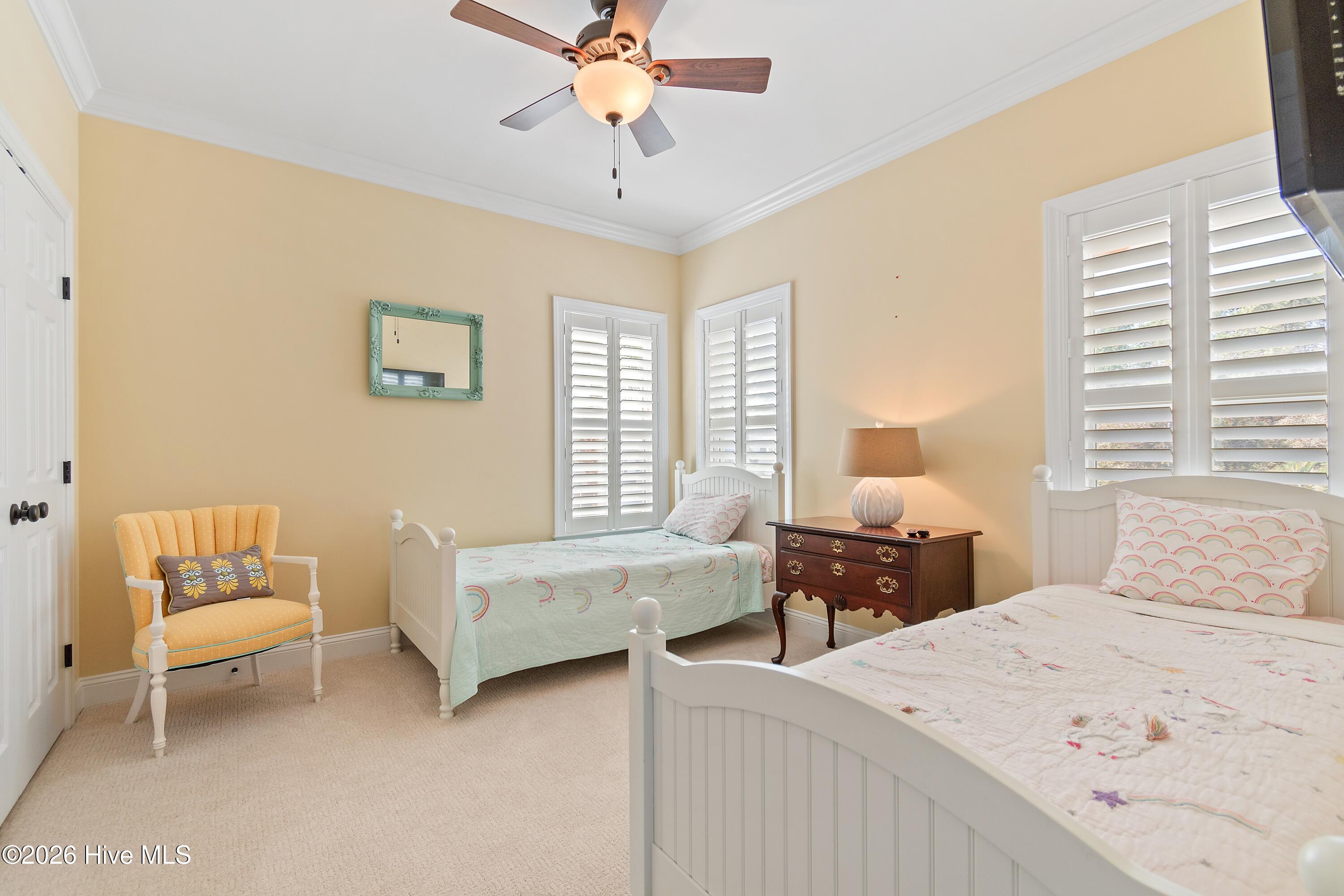 100558702 | Photo 53