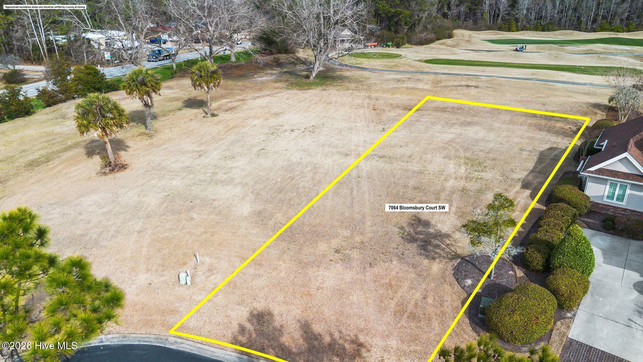 100555855 | Photo 11