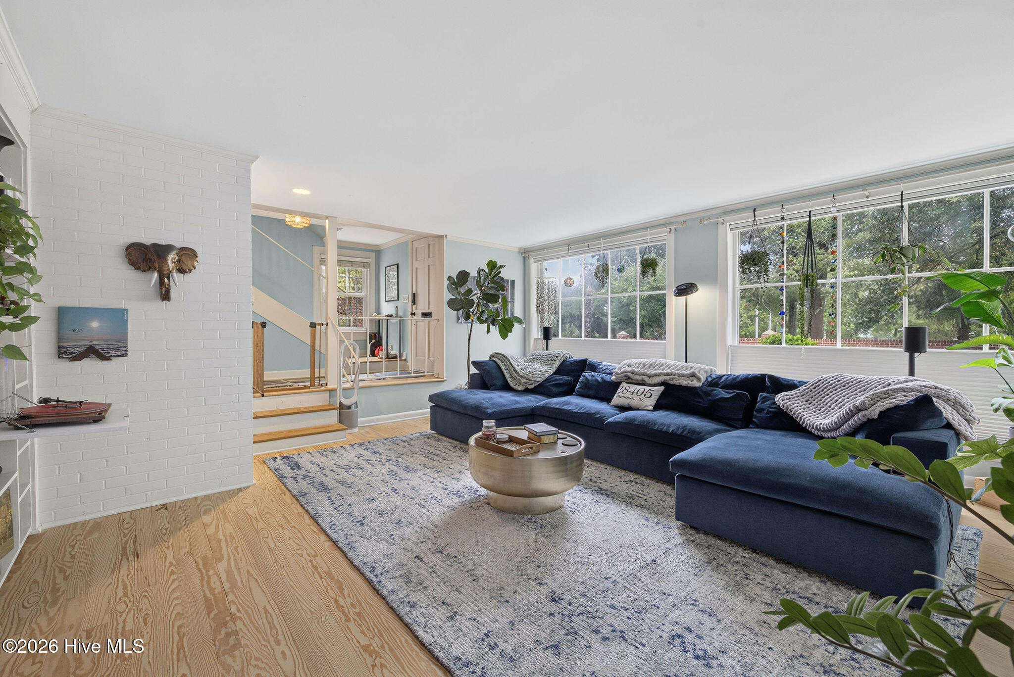 Living Room with pine flooring and big windows add plenty of natural lighting.