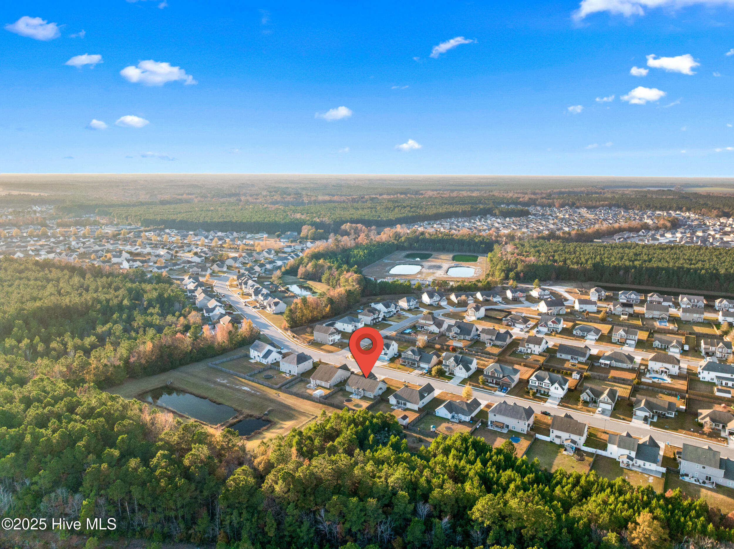 100543750 | Photo 42