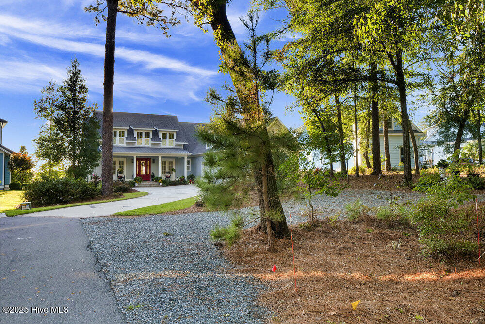 100537011 | Photo 80