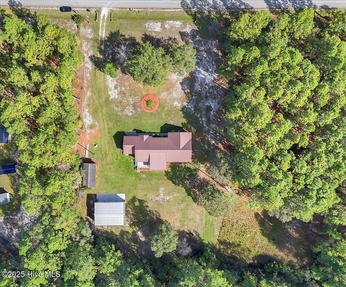 100568309 | Photo 11