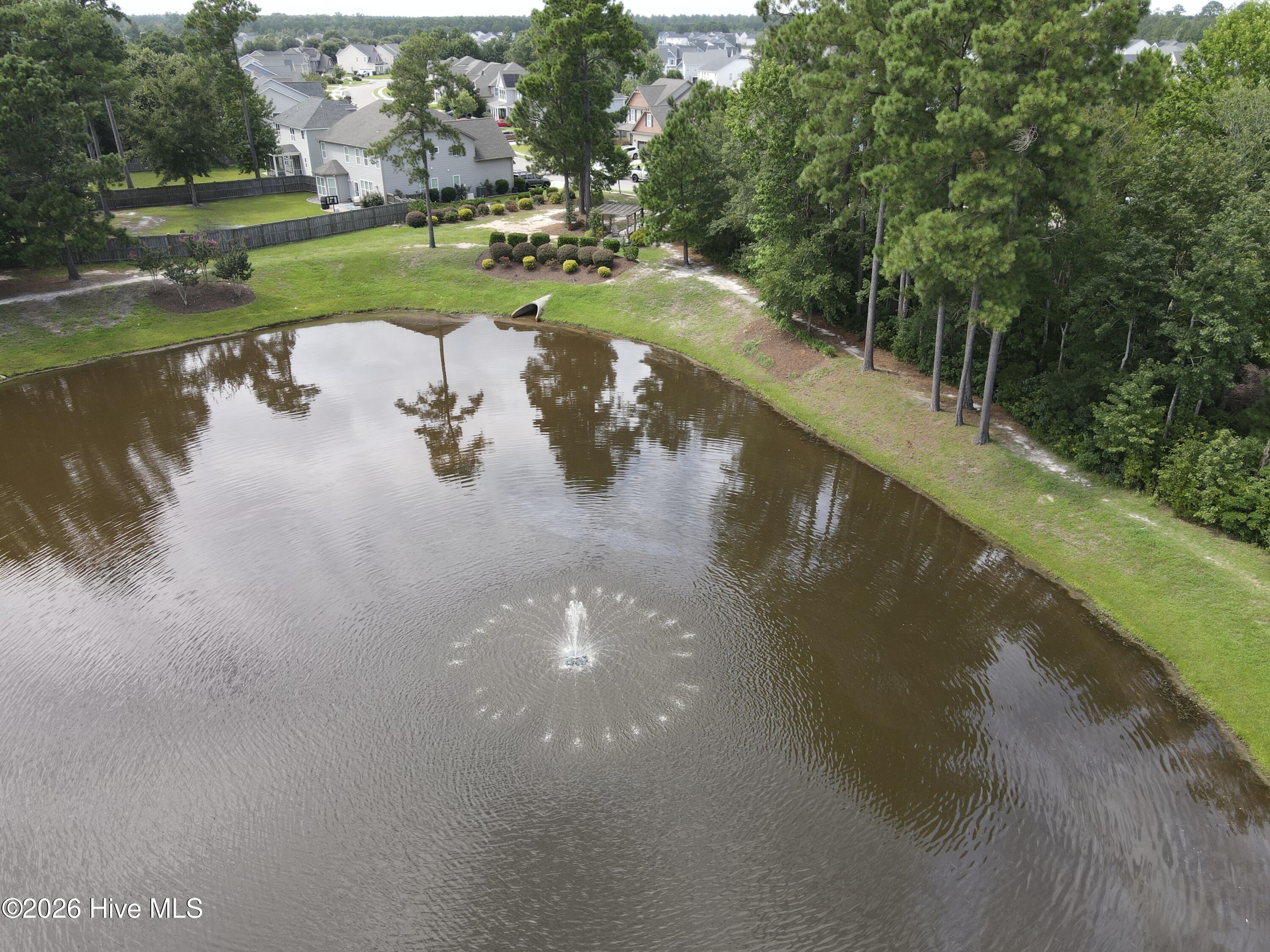 100553723 | Photo 44