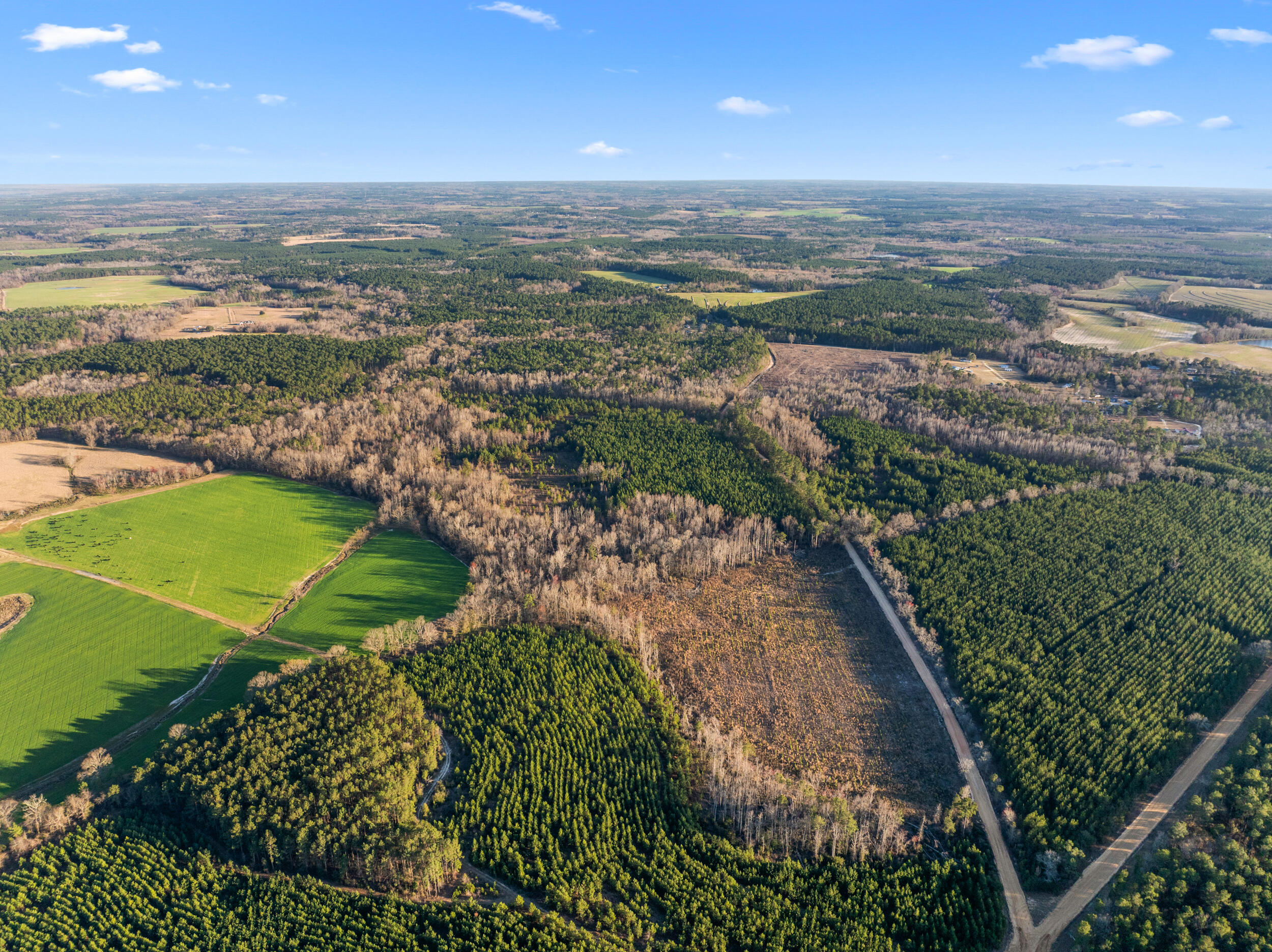 Homes for sale in Millen, GA | 0 Thomas Rd, Millen, GA 30442 | MLS# 549544