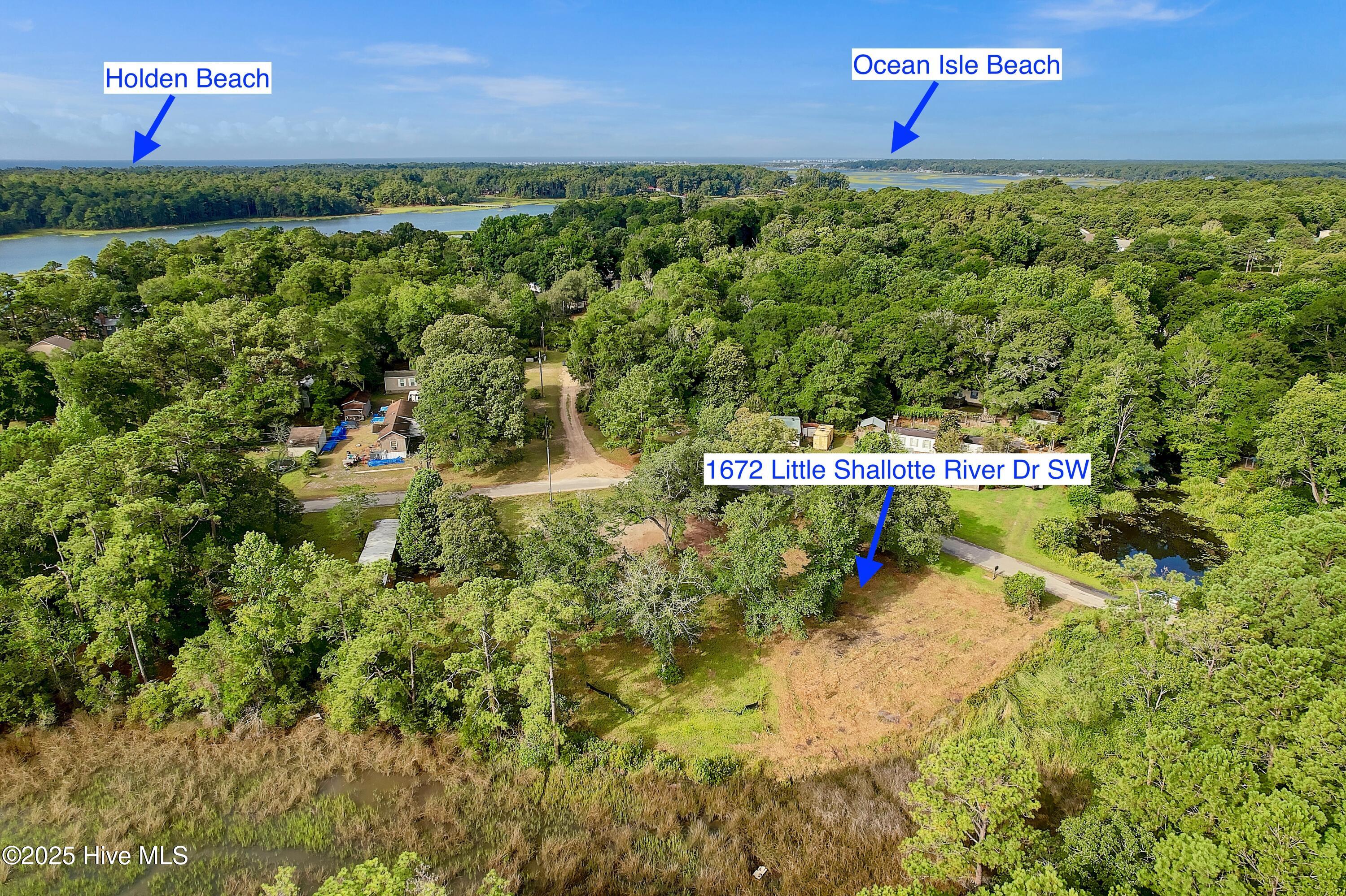 100521467 | Photo 14