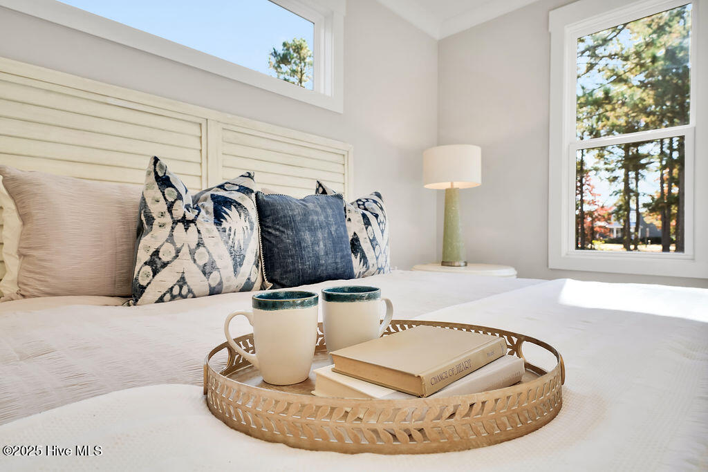 100529674 | Photo 45