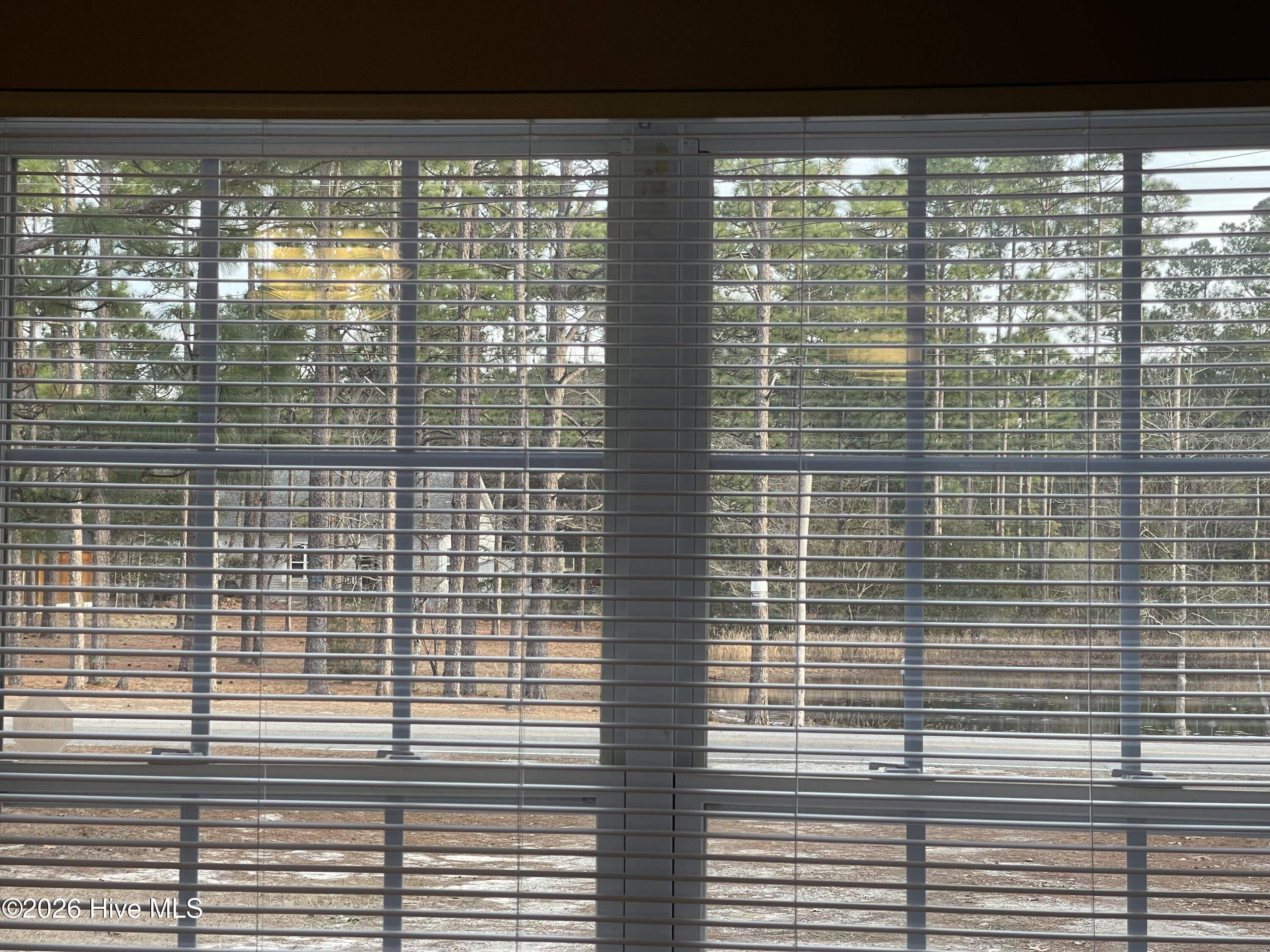 100548174 | Photo 27