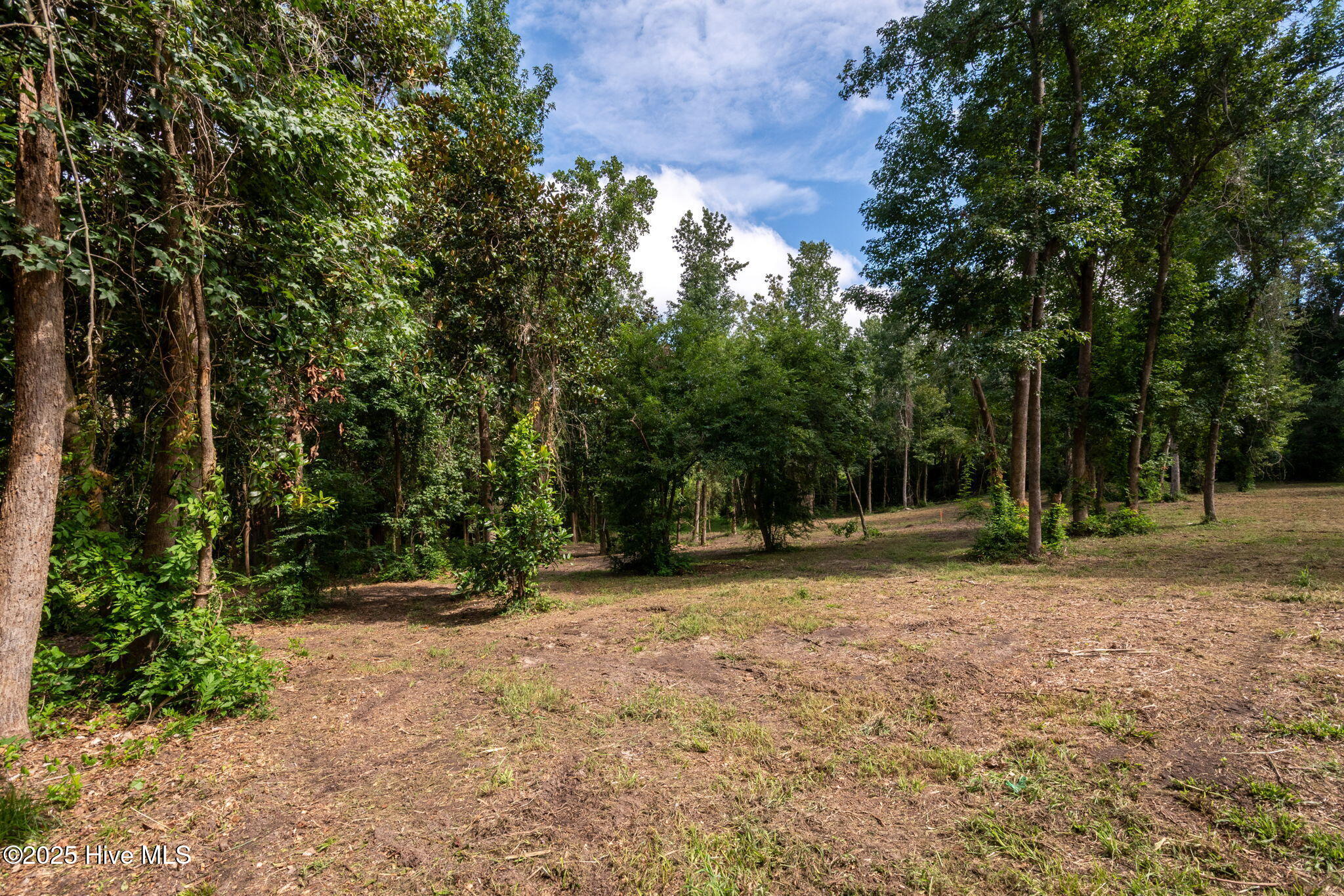 100524642 | Photo 28