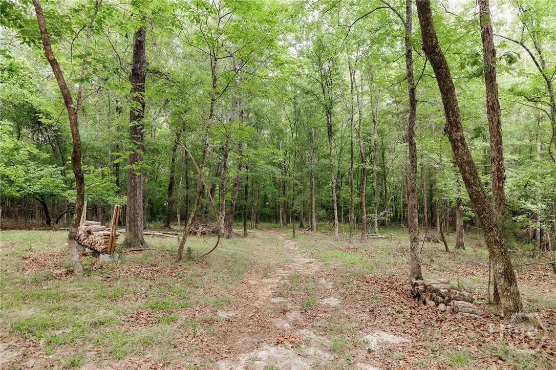 1967 Calhoun Falls Highway