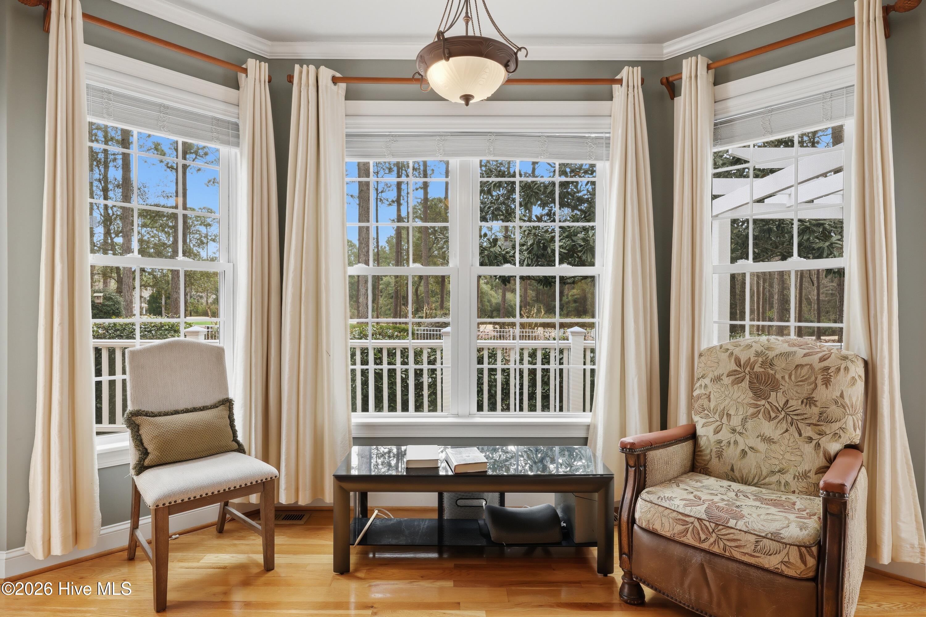 100558451 | Photo 30