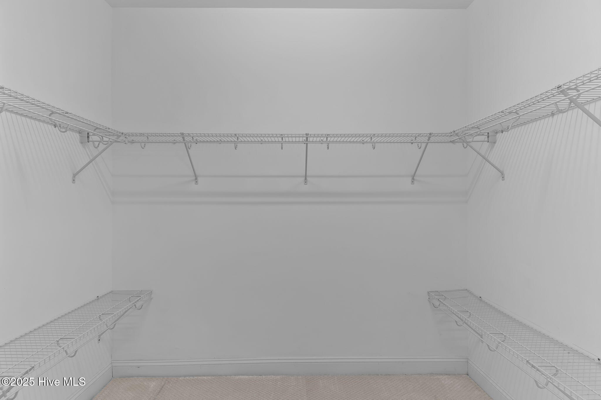 100537665 | Photo 23