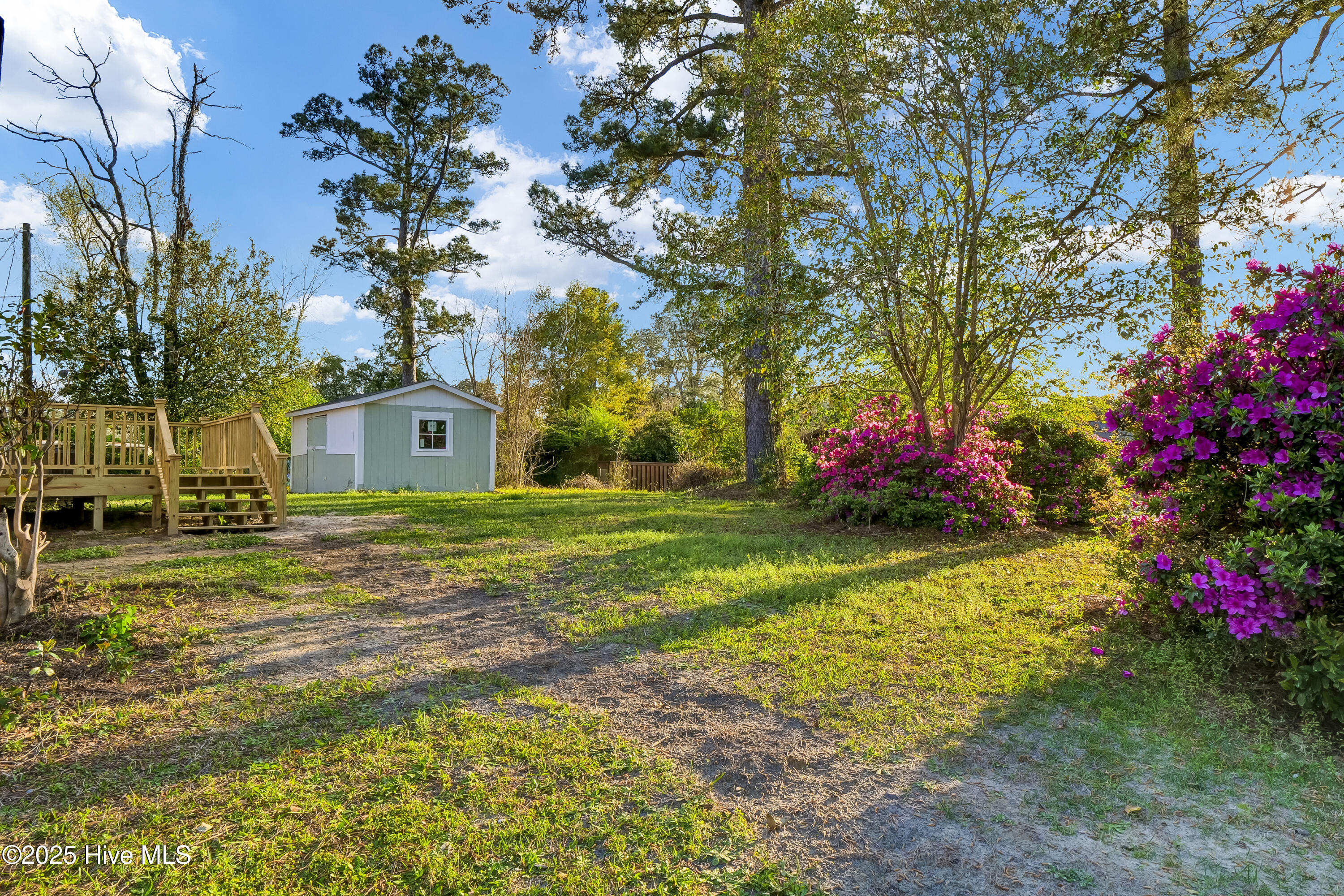 100555284 | Photo 26