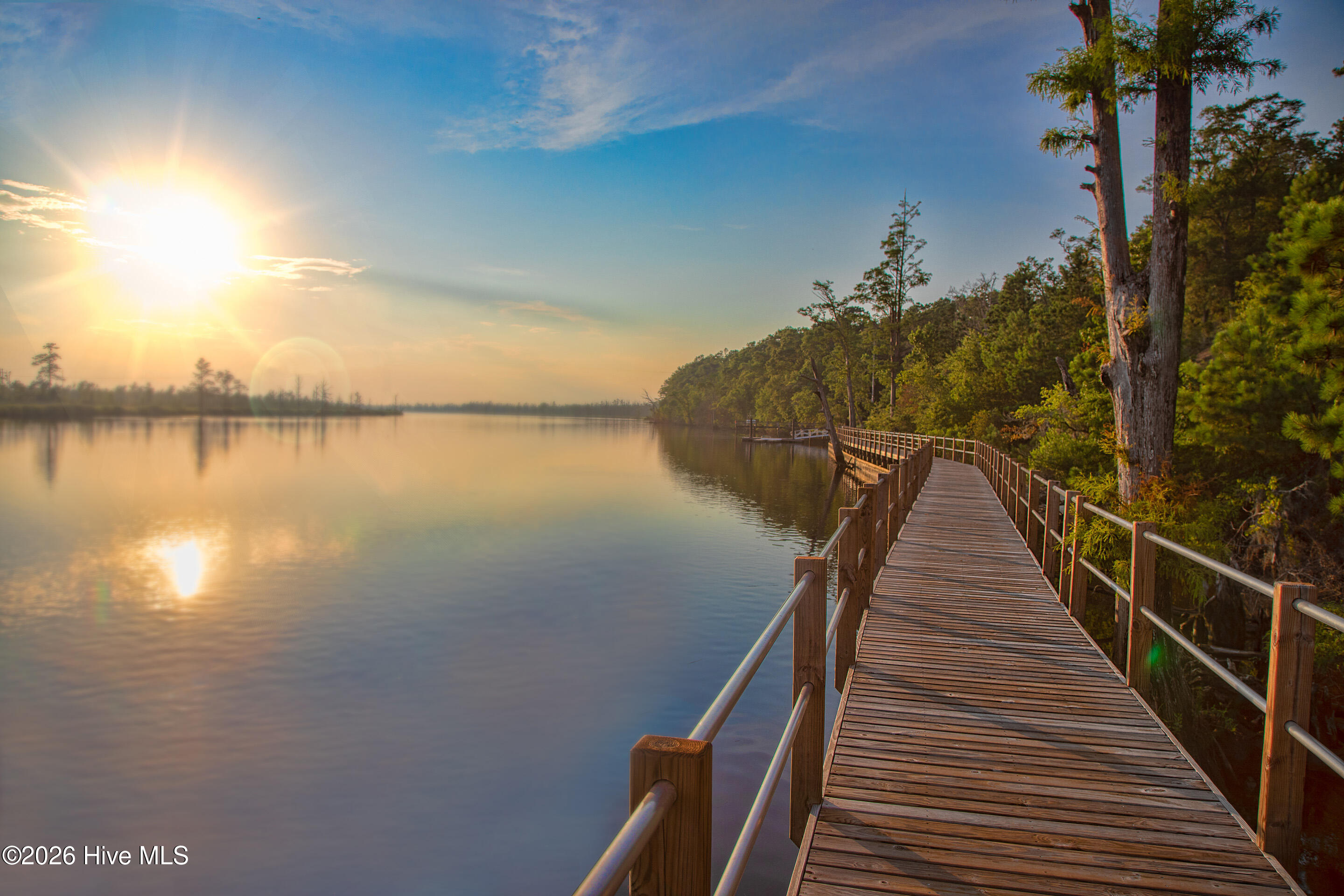 100451918 | Photo 47