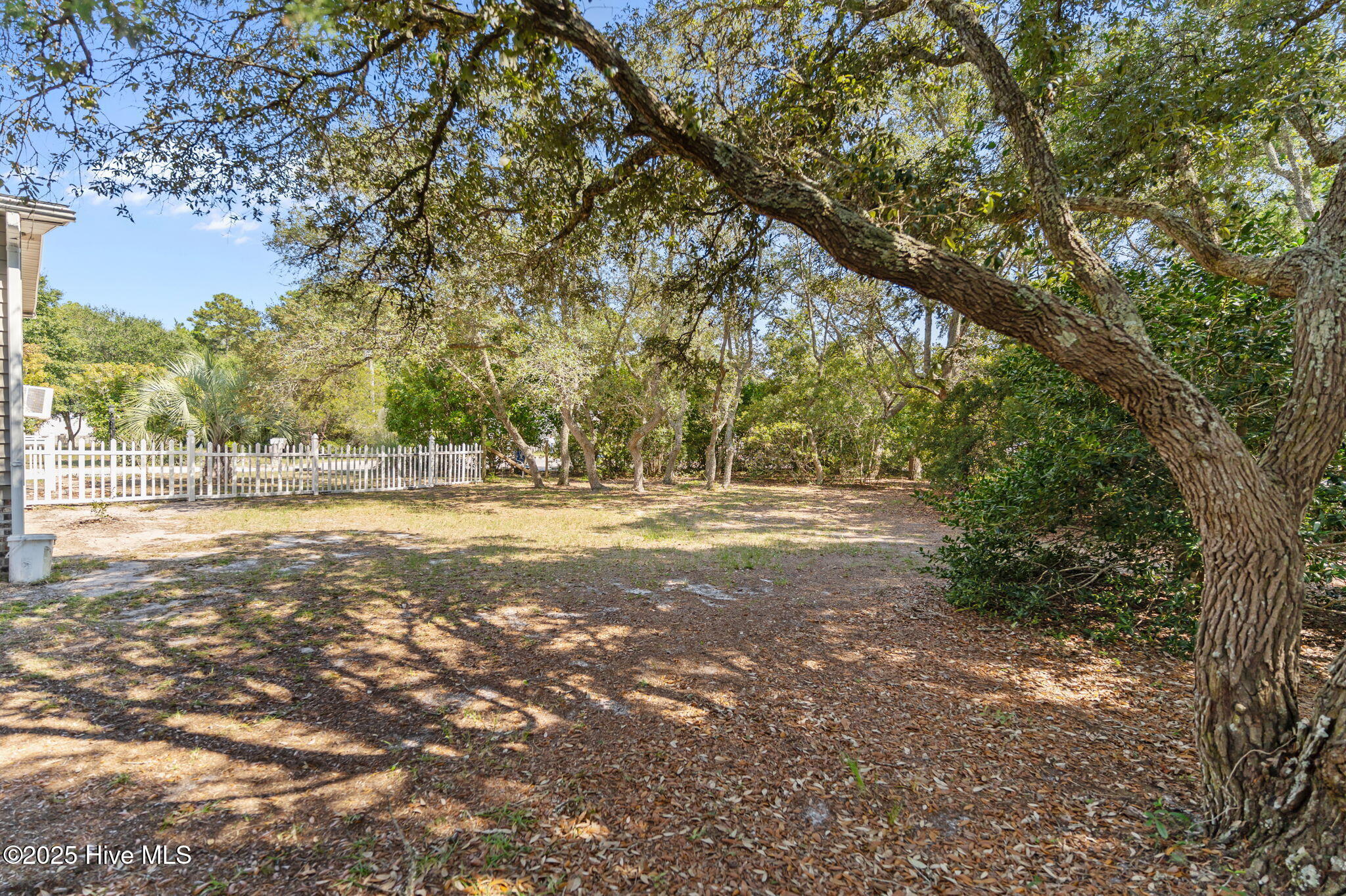 100531934 | Photo 44