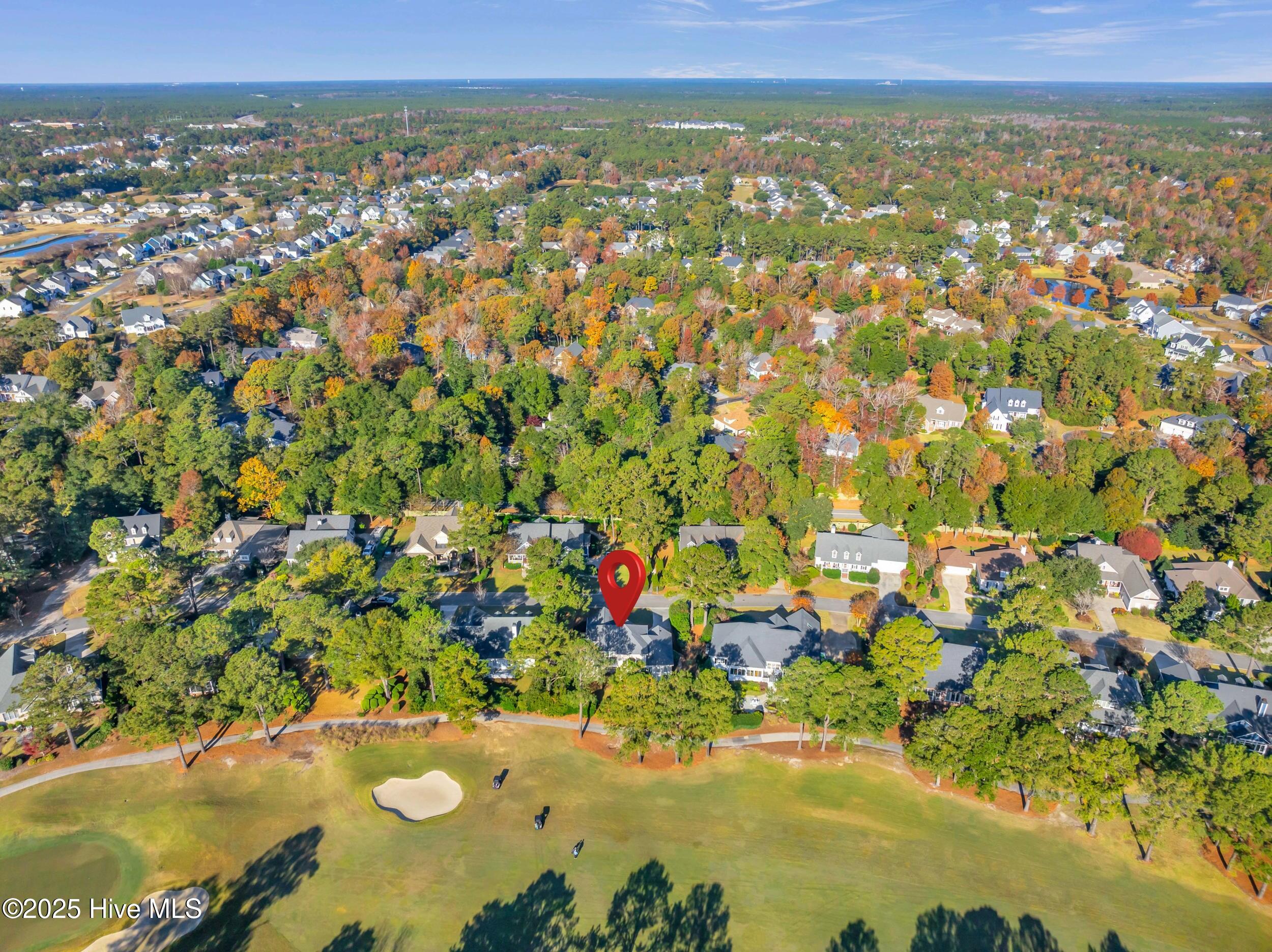 100542243 | Photo 45