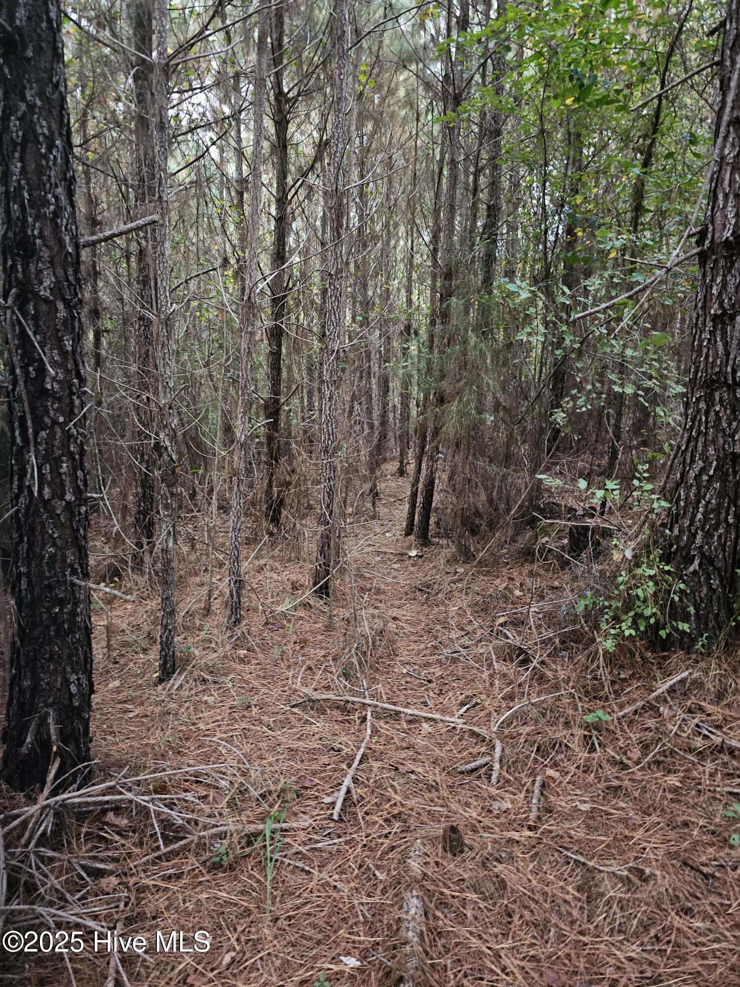 0 Carbonton Road, Sanford, NC, 27330