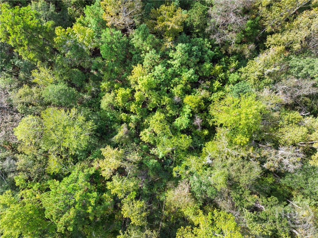 Photo 3 of Land for sale at 0 Plantation Pointe Dr, Statesboro, GA 30461 | MLS# CL352677 | Listing updated on 2026-09-15