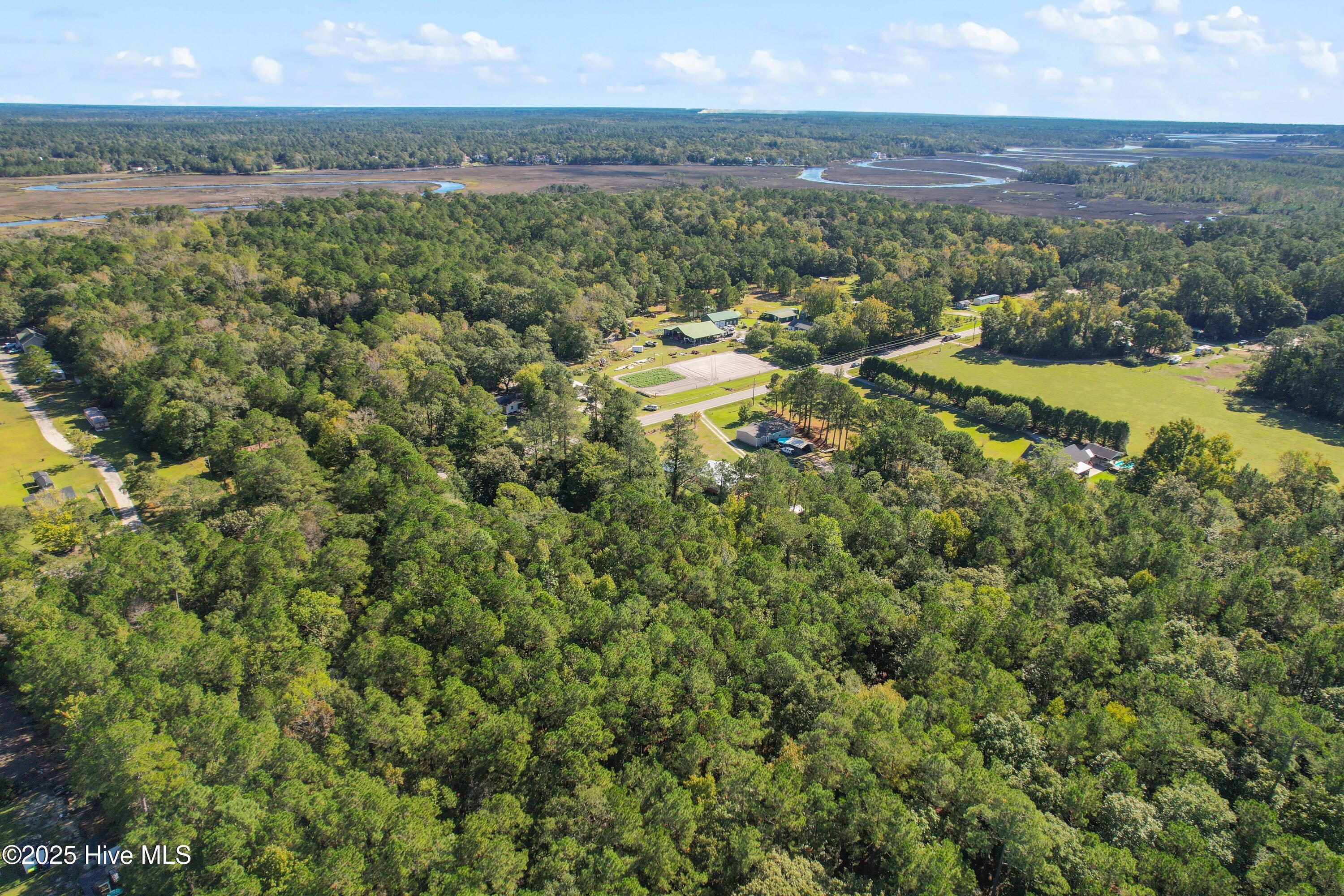 100538824 | Photo 13