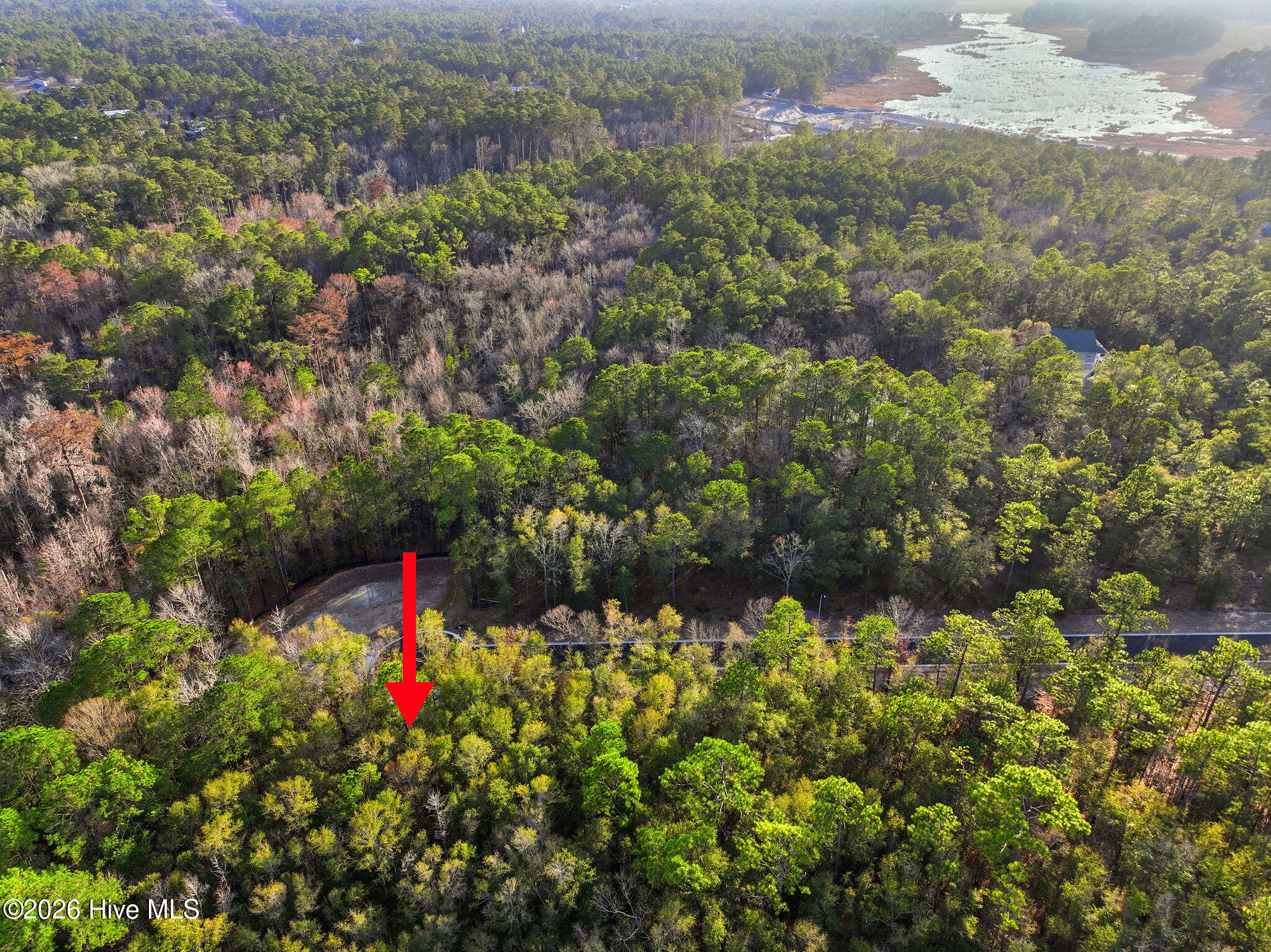 100556106 | Photo 12