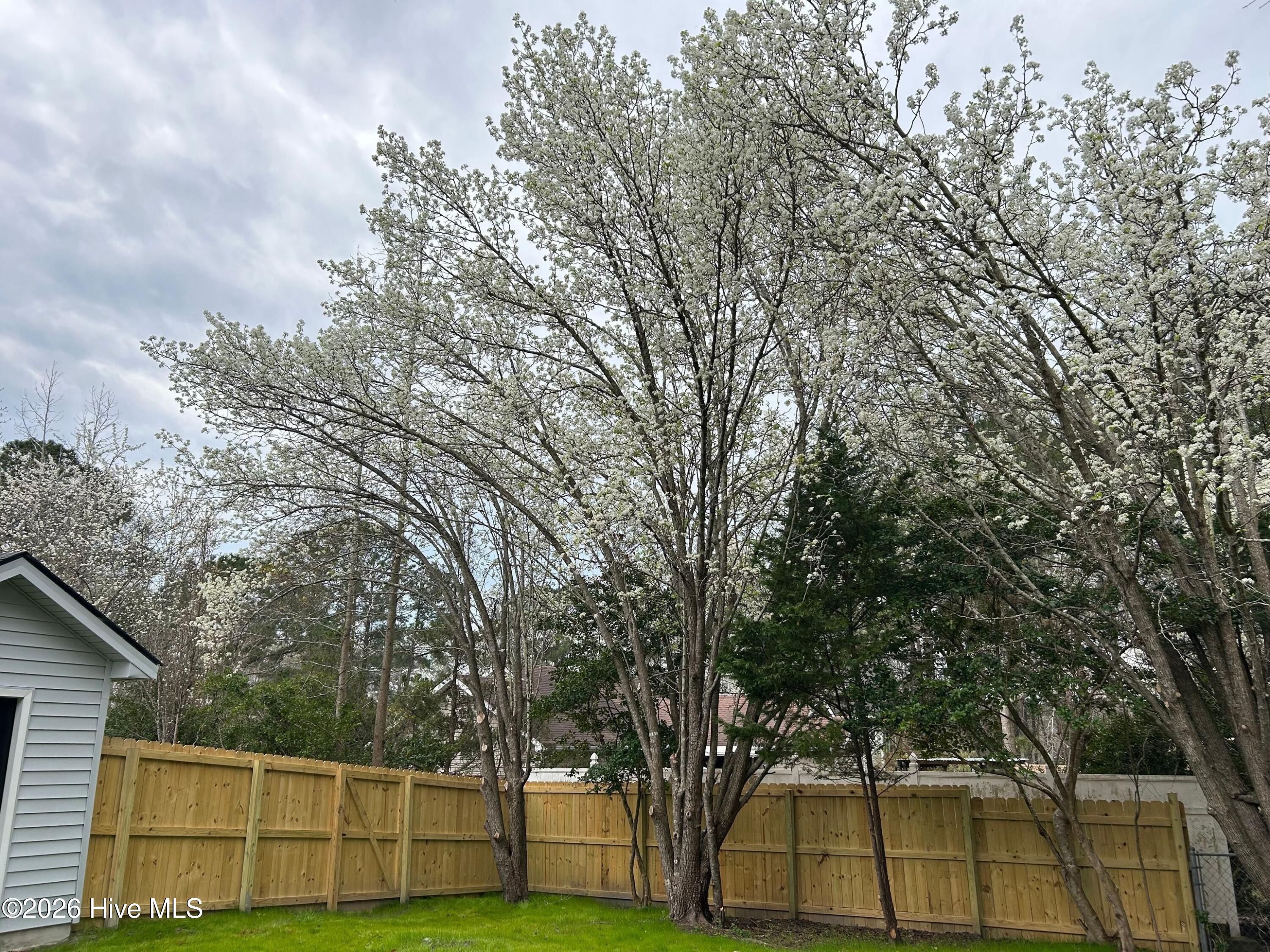 100559934 | Photo 26