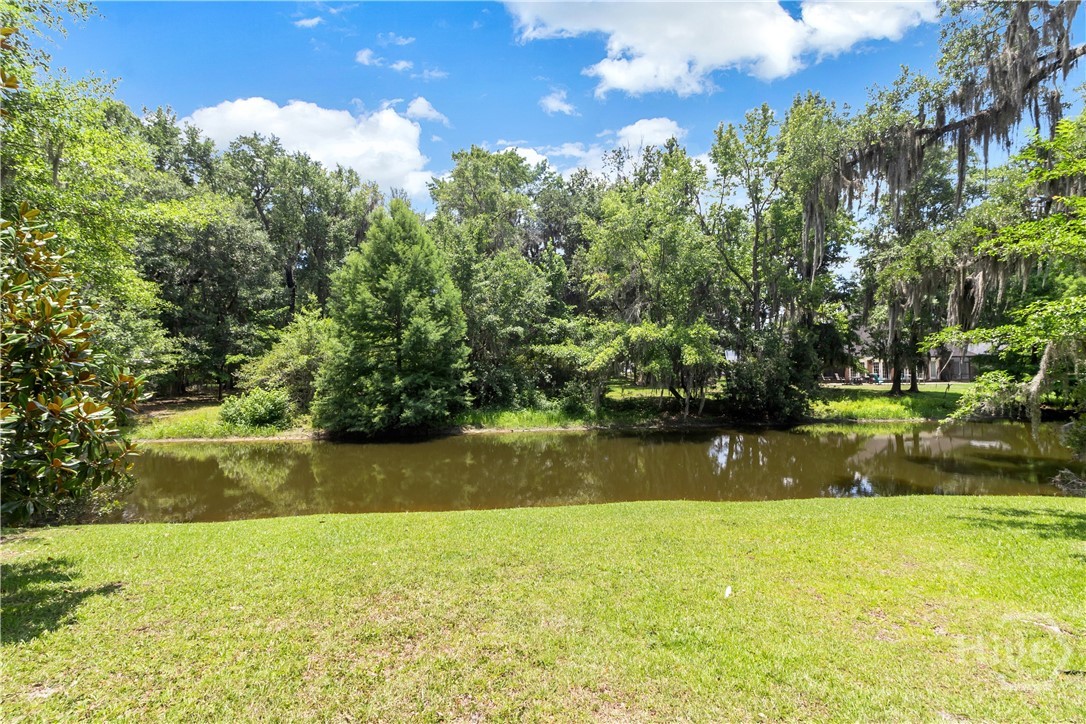 Backyard - Lagoon