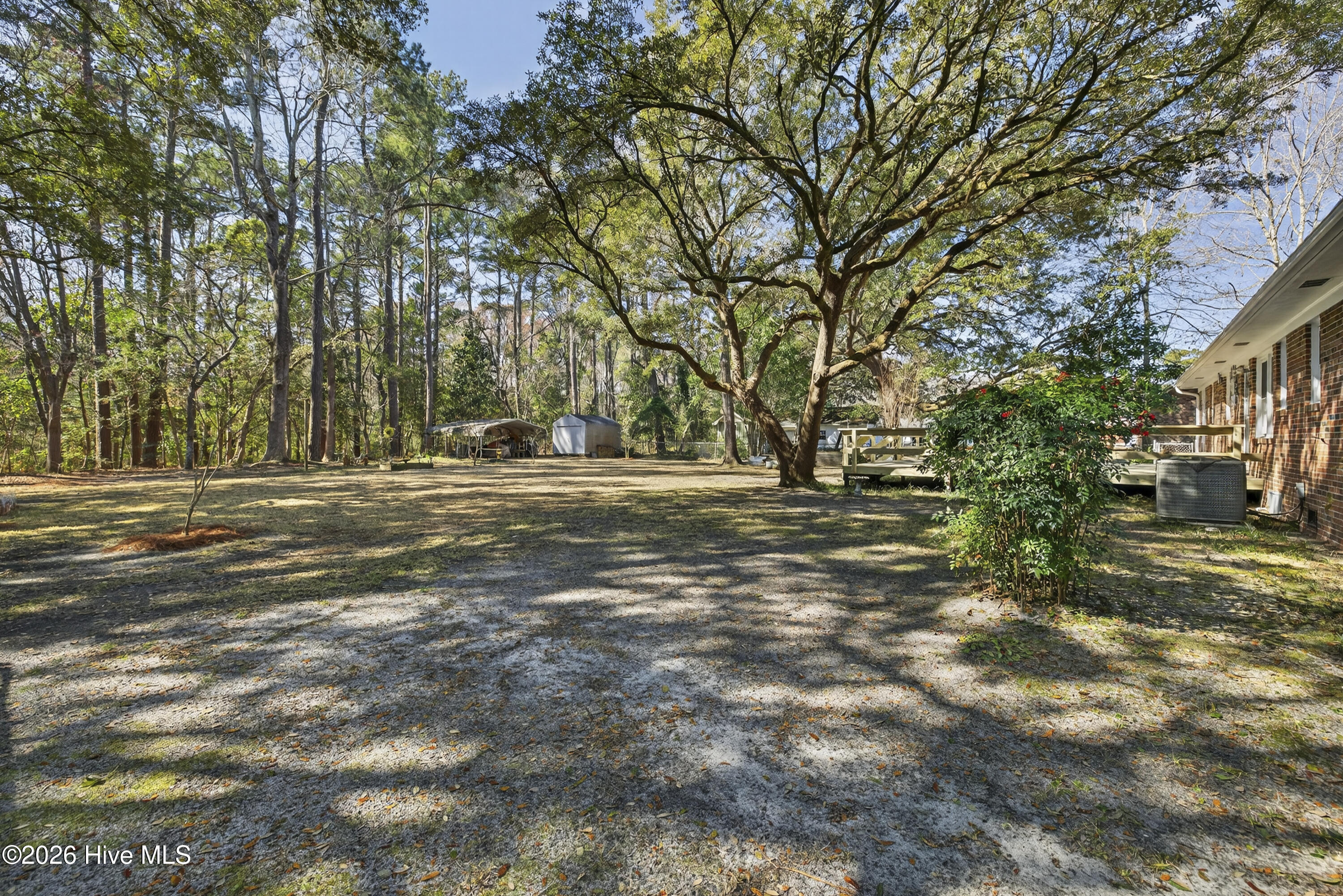 100556651 | Photo 37