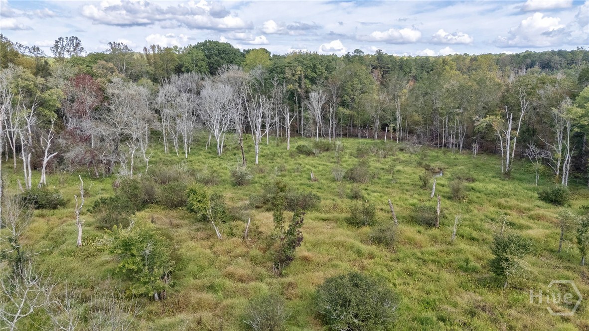 Homes for sale in Watkinsville, GA | 0 Old Salem Rd #Tract 3, Watkinsville, GA 30677 | MLS# CL348476