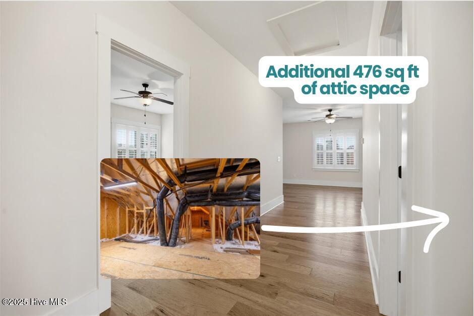 100536924 | Photo 31