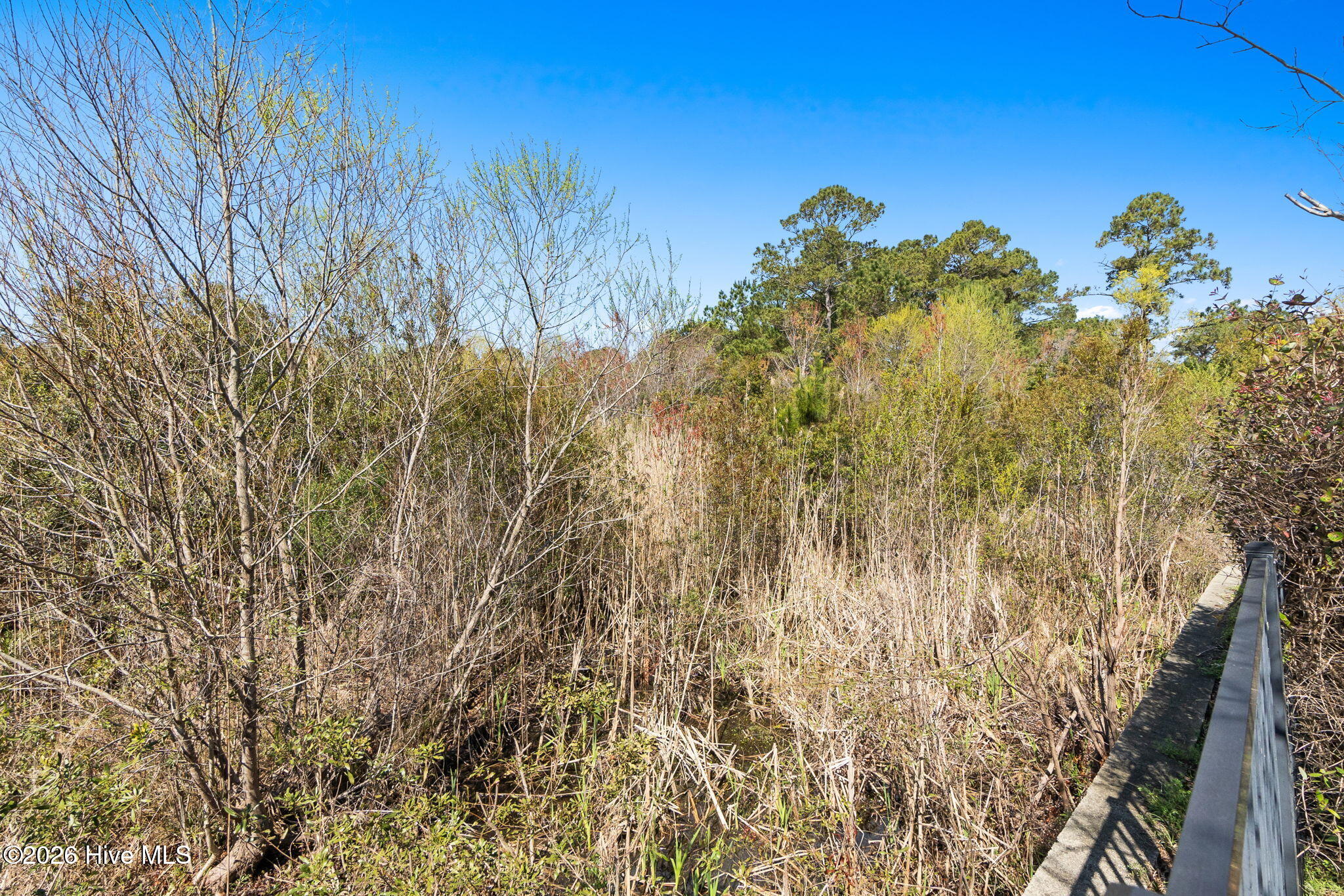 100561861 | Photo 44