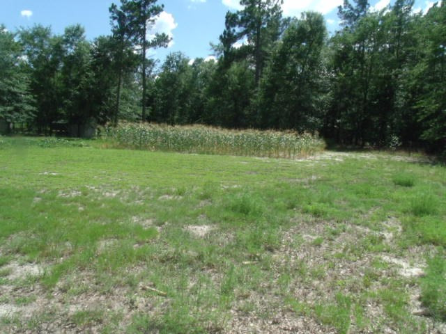 Pasture