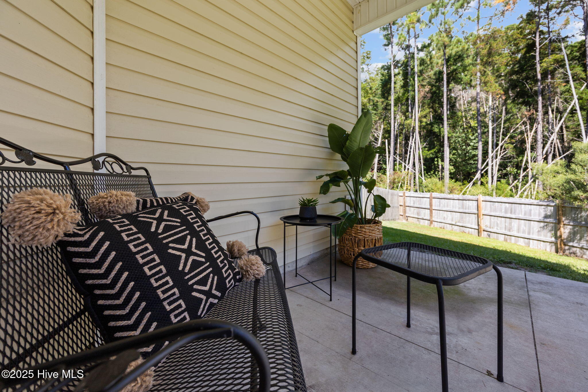 100532531 | Photo 25